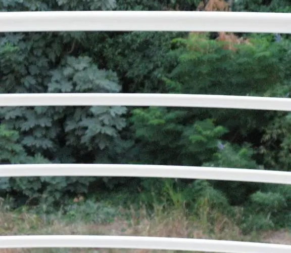 Alexander Pensjonat 3*